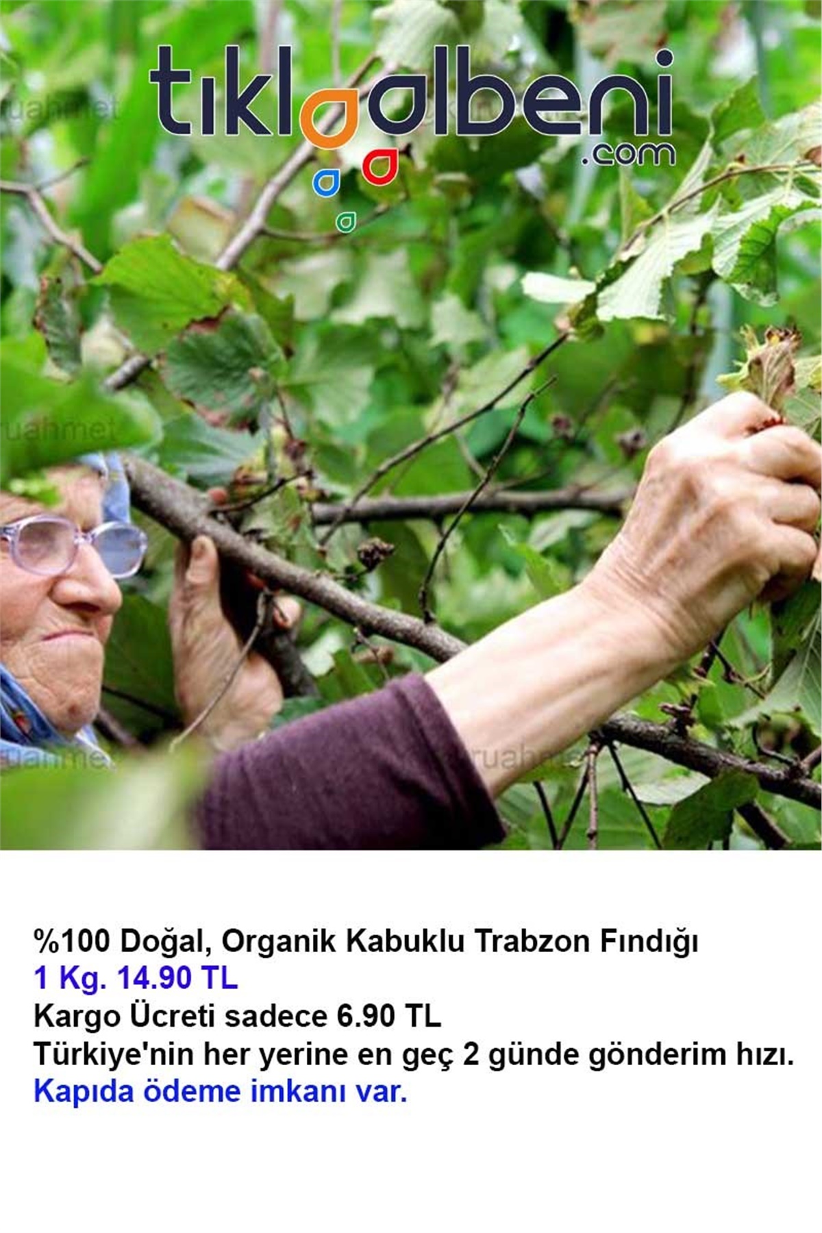 Organik Trabzon Fındığı, Kabuklu Fındık 1 Kg 14.90 TL